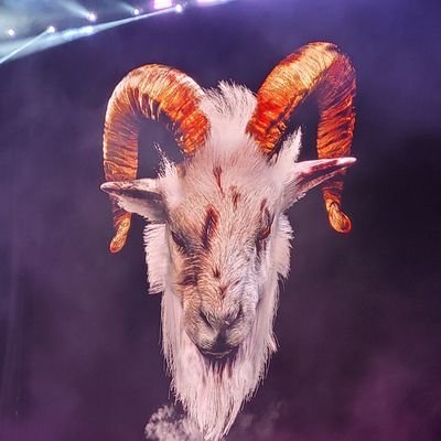 guzycom's profile picture. Si no me quieren en vida..cuando muera no me lloren.