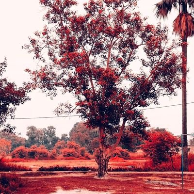 Santosh86745698's profile picture. love you 😘😘 

#stufflistingarmy