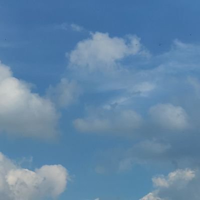 llpp56605847's profile picture. 