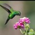 Ideas (@libersant31) Twitter profile photo Ideas (@libersant31) Twitter profile photo