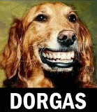 theDorgasManolo's profile picture. cochorrinho feliz e alegre traficante BANDIDO!!HEHEEFeitos da dorga