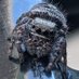 Sammy the Jumping Spider (@Xitqu) Twitter profile photo