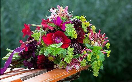 Gardener, writer, allotmenteer, husband, father & all round whipping boy who tries to keep his wife happy by growing a cutting garden to fill house with flowers