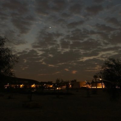 Bushrah_'s profile picture. Gémeaux ✨🎭