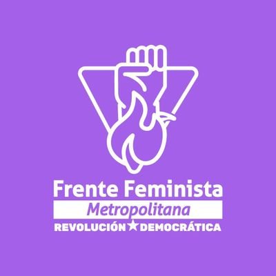 Somos el Frente Feminista RD de la Región Metropolitana, luchamos por la igualdad, la justicia de género y los derechos humanos.