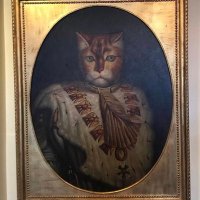 Tom (@tommysalami1922) 's Twitter Profile
