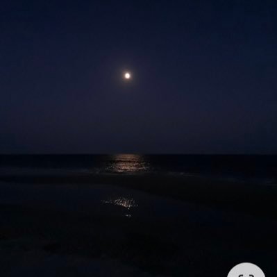 1__space's profile picture. Weltschmerz