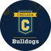 Chelsea School District (@ChelseaSchools) Twitter profile photo