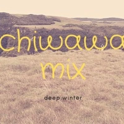 chiwawa mix project Profile