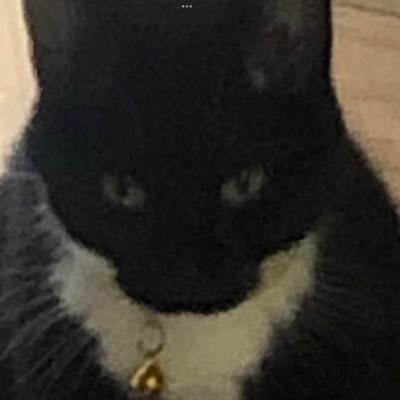 jaxtherat420's profile picture. lurker - 18