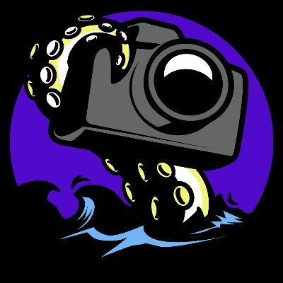 cocoasulphur | Editor of Videosさんのプロフィール画像