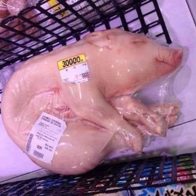 AlabamanAvatar's profile picture. 