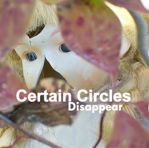 Certain Circles is an electro-acoustic duo consisting of friends Dave Semro and Tommy Johnson.