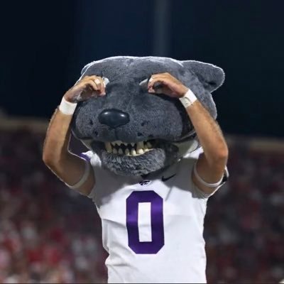 nlelandw's profile picture. I hate scary movies. I love the Cats.