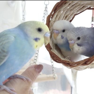 gold0703end's profile picture. 