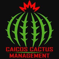 Caicos Cactus Management(@CactusCaicos) 's Twitter Profile Photo