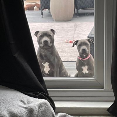 AllwoodMick's profile picture. 