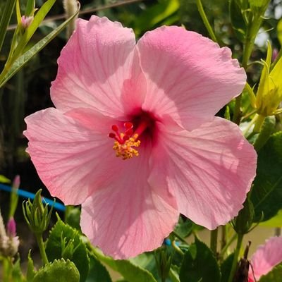 Frank139929071's profile picture. I am a very humble who is here to make new friends and also to share Ideal to people what they don't know about.