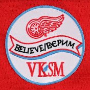 HockeyFoxNHL's profile picture. #LGRW