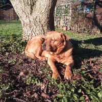 Phil Woods🚜🇱🇧🇸🇩 (@phil_woods) 's Twitter Profile Photo