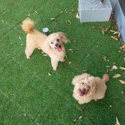 s39higashiyama's profile picture. 無資格ですが、病院の感染対策に関わって35年となります。