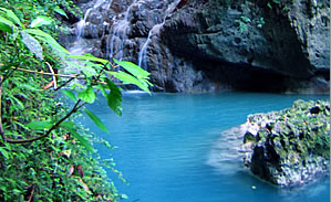 SomersetFalls's profile picture. A Little Slice of Heaven