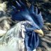 Blue_Rooster_Face (@papa_nurgle_) Twitter profile photo Blue_Rooster_Face (@papa_nurgle_) Twitter profile photo