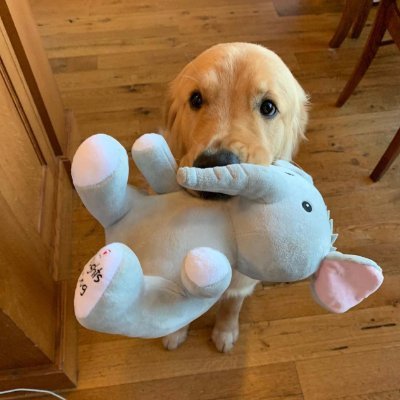 TaiebWh's profile picture. 🍀Life should always be sober, always gentle, always know how to advance and retreat🍀