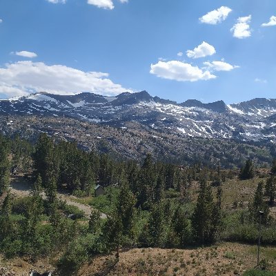 biophysics_bot's profile picture. This is a bot account that retweets tweets related to biophysics research. Shoutout to UC Merced CS student Varnika in helping set it up!