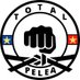 TotalPelea (@TotalPelea) Twitter profile photo
