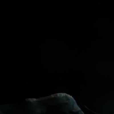 fukngooby's profile picture. 