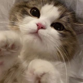 aint_uu's profile picture. 