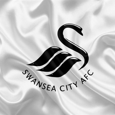 Swansea fan. Enjoy a football debate with all fans. Please get in touch if you are a Swansea fan based in Shropshire🦢