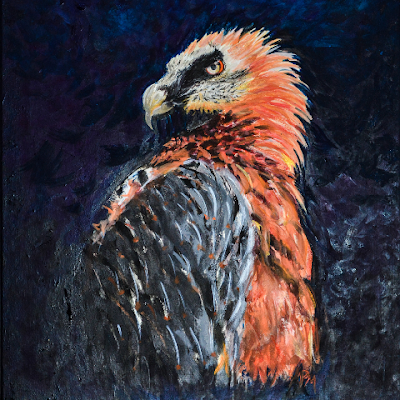 HectorO04238076's profile picture. paso por aca