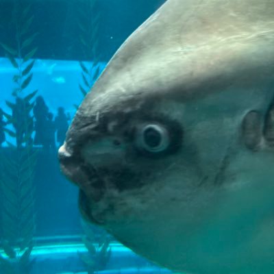 rma2ram2's profile picture. 