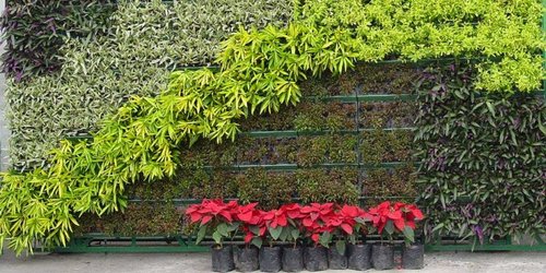GreenWalls, LLC manufactures the patented Modular Living Wall Component and System to build lasting green walls with its technology.