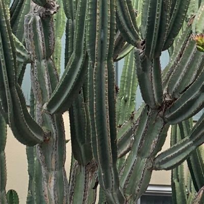 mheslami's profile picture. Software Engineer, Technologist