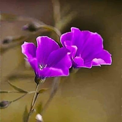 KingK289's profile picture. 