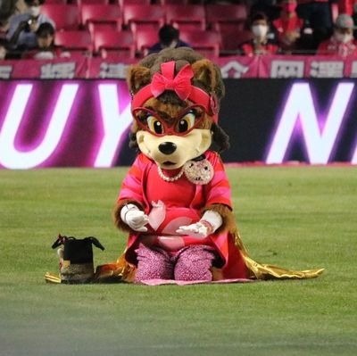 43I7mh0m5JJBUQU's profile picture. セレッソ応援してます。静岡県住み。
無言フォローゴメンチャイ