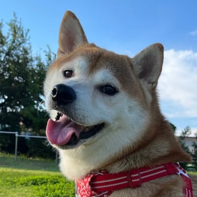 二宮くんが好き💛福ちゃん🐕が好き💛 ニノさんとベイスト✨よにのちゃんねる(はぁと)日曜日と水曜日が楽しみ😊😊😊 #今日も明日もニノが好き💛 ずっと味方だよ💛#オフィスにの