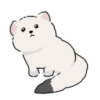 okojo_2023🐹 (@bibipooooo) Twitter profile photo