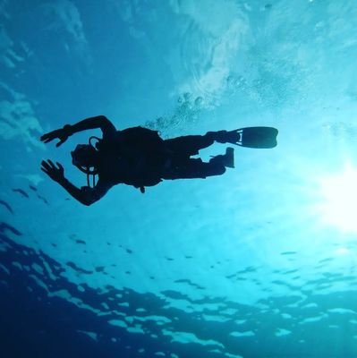 JerryDive1989's profile picture. Surfer🏄 scuba diver🏊
Born #odisha #odiatoka #andamanchild
#scuba_diver.in occupational