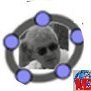 Daniel Mentrard (@dment37) 's Twitter Profile Photo Daniel Mentrard (@dment37) 's Twitter Profile Photo