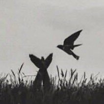 Na93Rg's profile picture. وإن هزّت رياح اليأس مركبنا فحُسنُ الظن بِالله يُنجينا