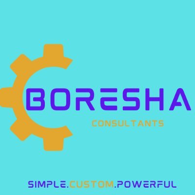 BoreshaConsult1's profile picture. Data Privacy Consultants and Out of Home communication Strategists.