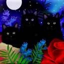Lynne Ratliff - @Poohtie - Twitter