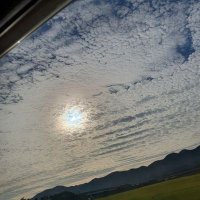 인준 (@lpax23) 's Twitter Profile