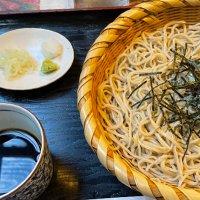 赤い狐うどん (@akaikitune_soba) 's Twitter Profile