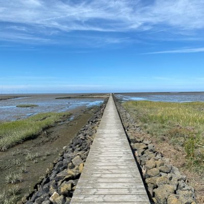 Fakten_Meinung's profile picture. Faktensammlerin. Und wenn ist es doch nur Meinung ist...
…ändern sich die Fakten noch lange nicht