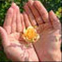 speaktruthnluvm's profile picture. 